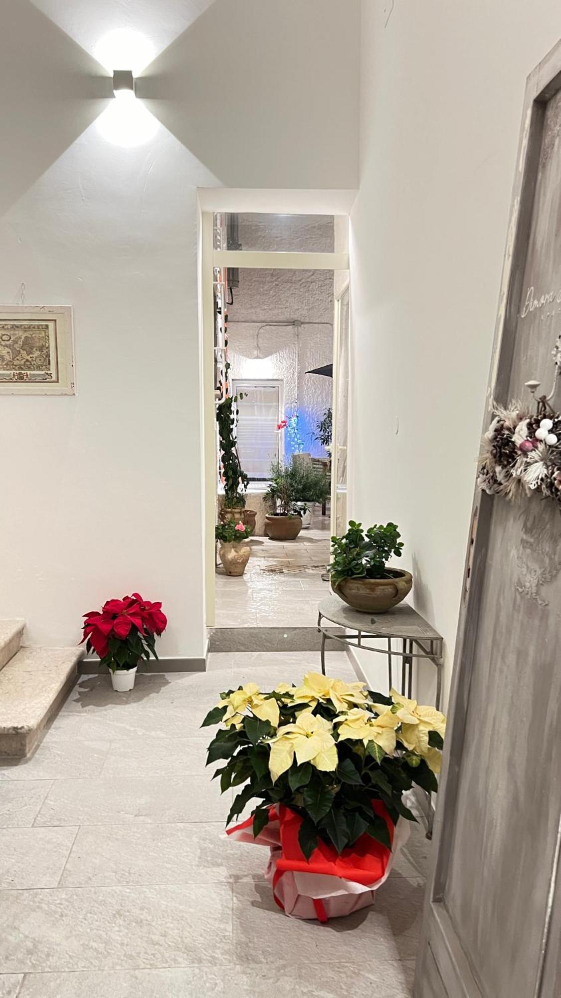 Dimora Donna Vitalia Apartments Trapani Zewnętrze zdjęcie